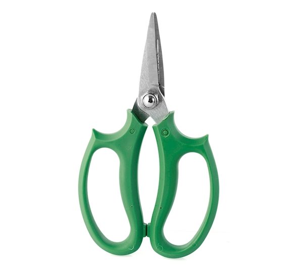 Forbice per potare giardinaggio